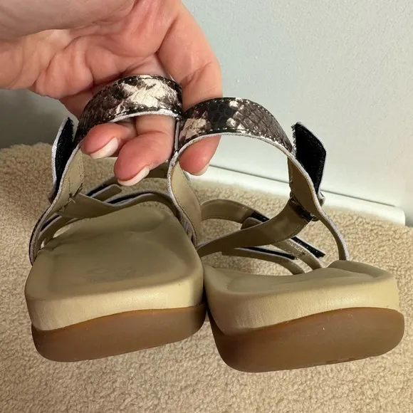 ABEO Snake Sandals 8