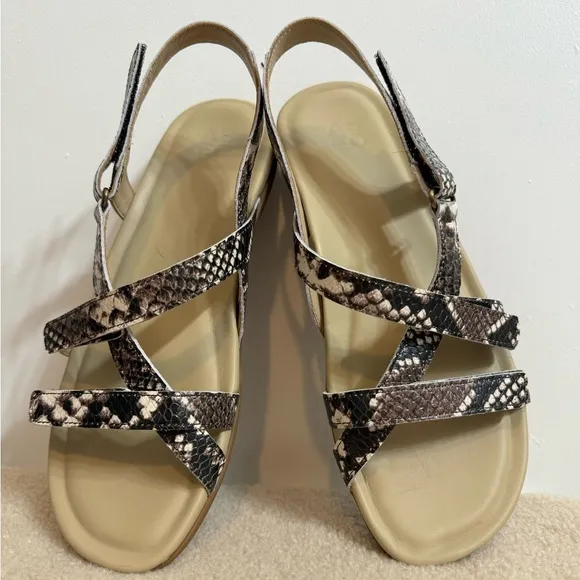 ABEO Snake Sandals 8