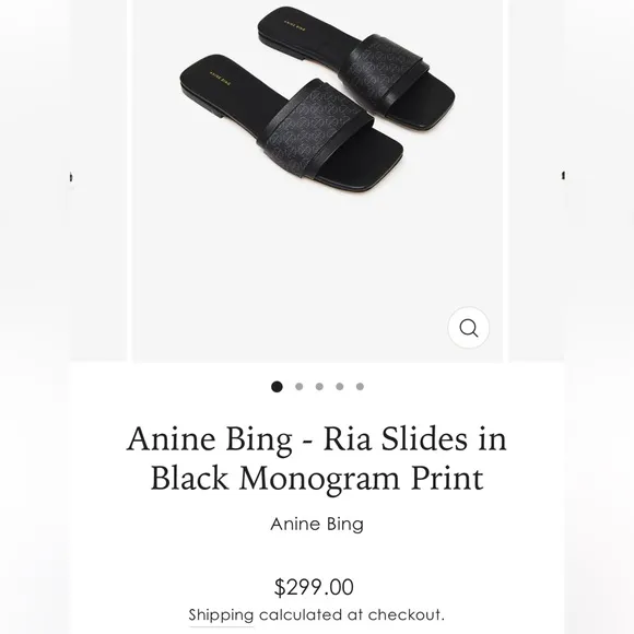 Anine Bing Ria Black Slides Sz 39 US 8.5 Logo Monogram Sandals Black Gray Chic