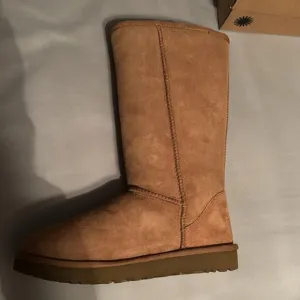 Brand new Ugg classic tall boots.