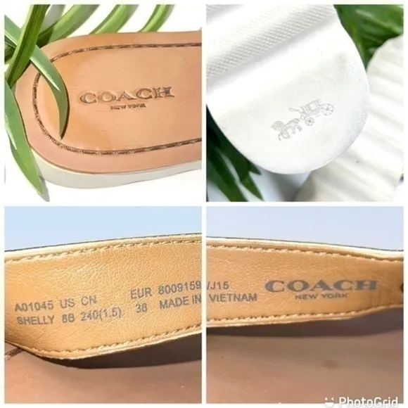 Coach Shelly Flip Flops in Gold Metallic Leather Size 8