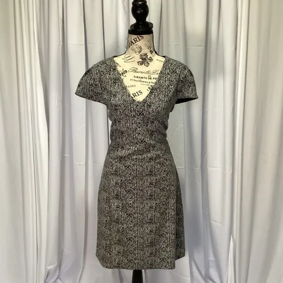 Express Short Sleeve Sheath Dress NWT Size L