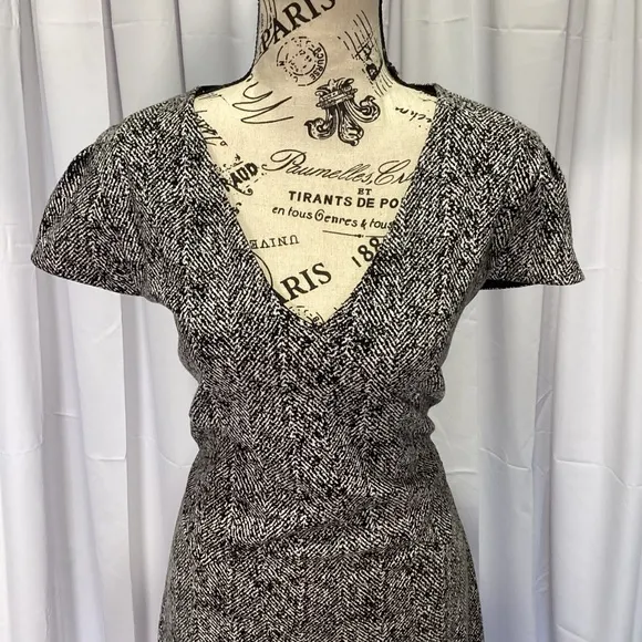 Express Short Sleeve Sheath Dress NWT Size L