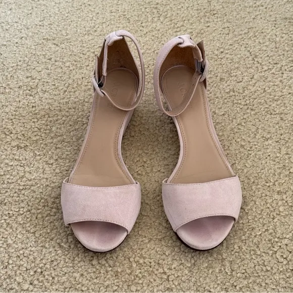 J. Crew Laila and Navy Suede Wedges Sandals