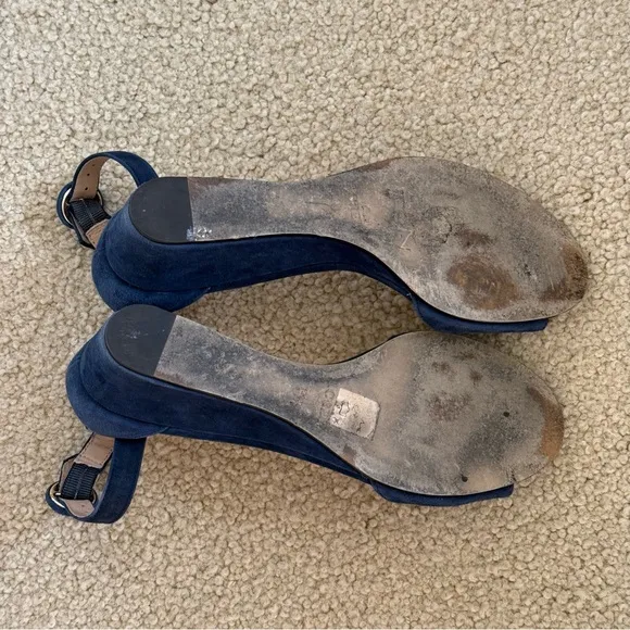 J. Crew Laila and Navy Suede Wedges Sandals