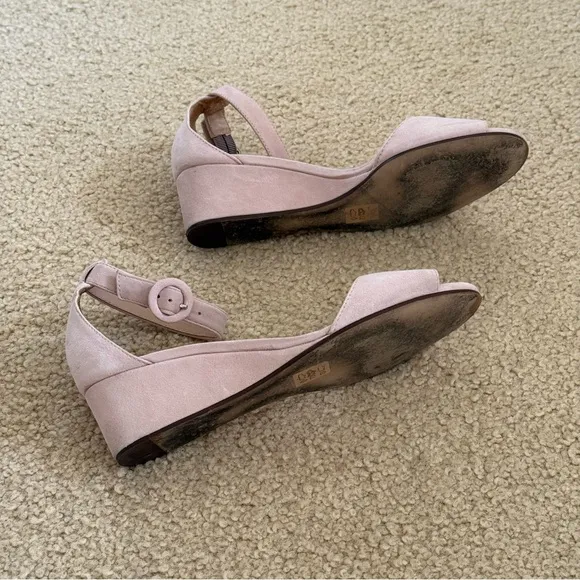 J. Crew Laila and Navy Suede Wedges Sandals