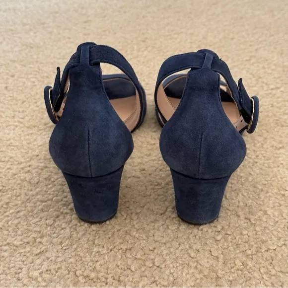 J. Crew Laila and Navy Suede Wedges Sandals