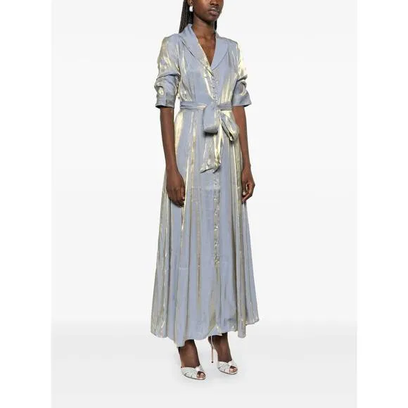 NEW BARUNI amara shimmery maxi dress in sky blue