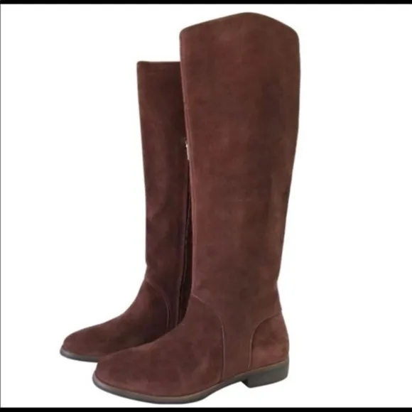 New Ugg Daley suede tall boots