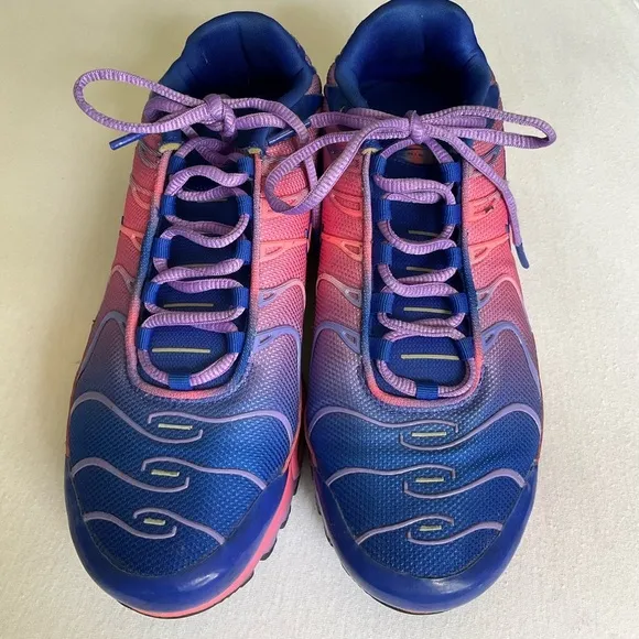 Nike Air Max Plus Blue and Pink Gradient Shoes