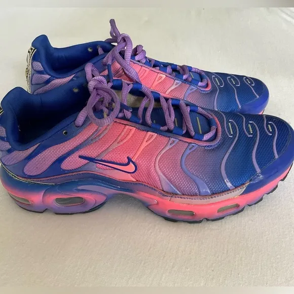Nike Air Max Plus Blue and Pink Gradient Shoes