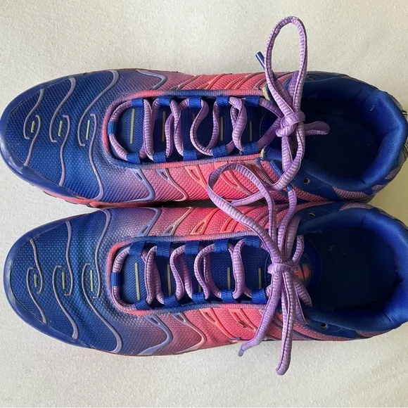 Nike Air Max Plus Blue and Pink Gradient Shoes
