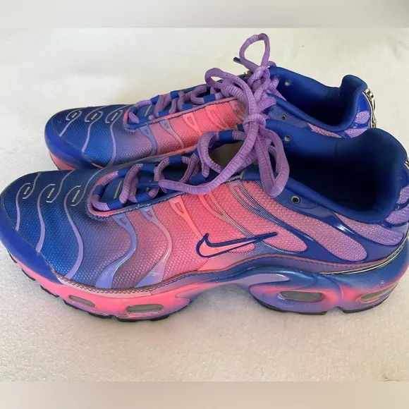 Nike Air Max Plus Blue and Pink Gradient Shoes