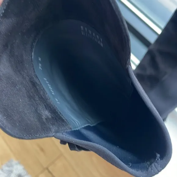Stuart Weitzman tall Suede boots