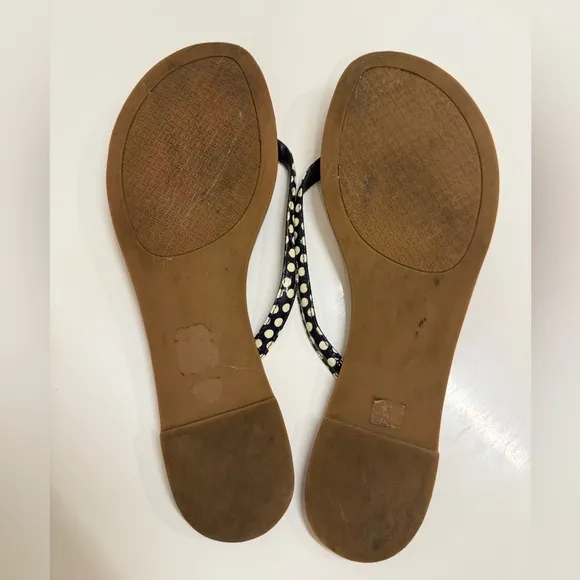 Tory Burch Terra Thong Dots Flip Flop Sandals, Navy / White, Size 8M